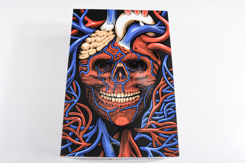 Nike SB Dunk Low x StrangeLove Skateboards