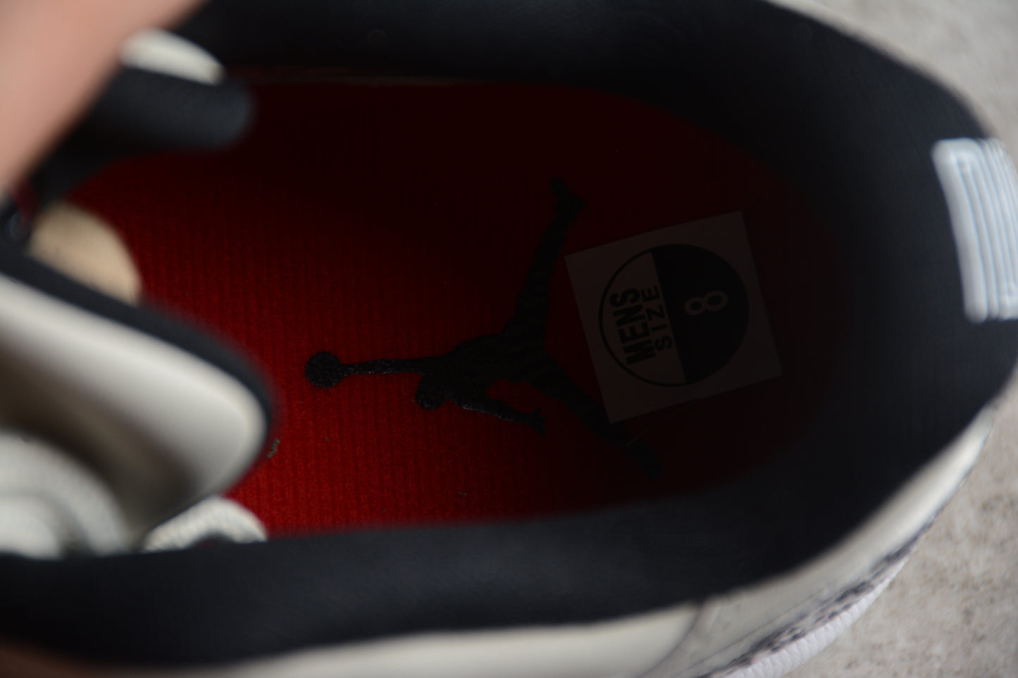 Air Jordan 11 Low "Snake"