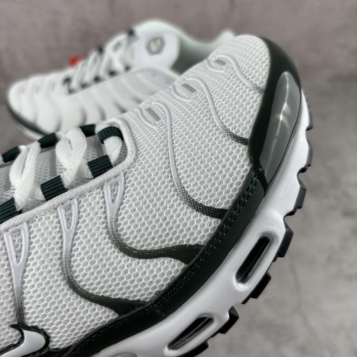 Nike Air Max Plus Tn