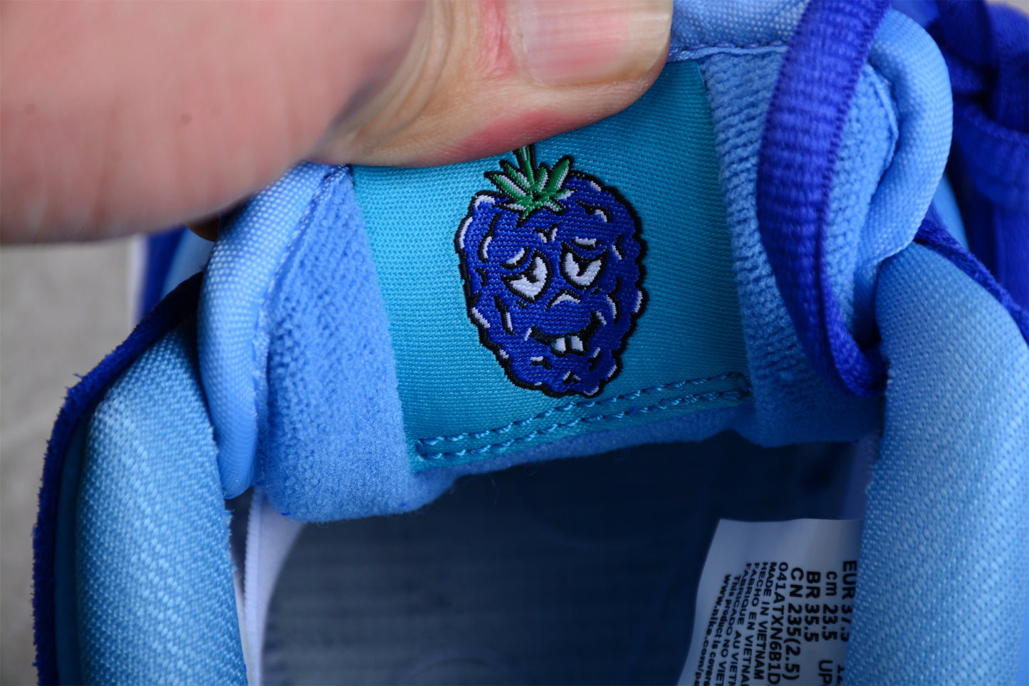 Nike SB Dunk Low Blue Raspberry 