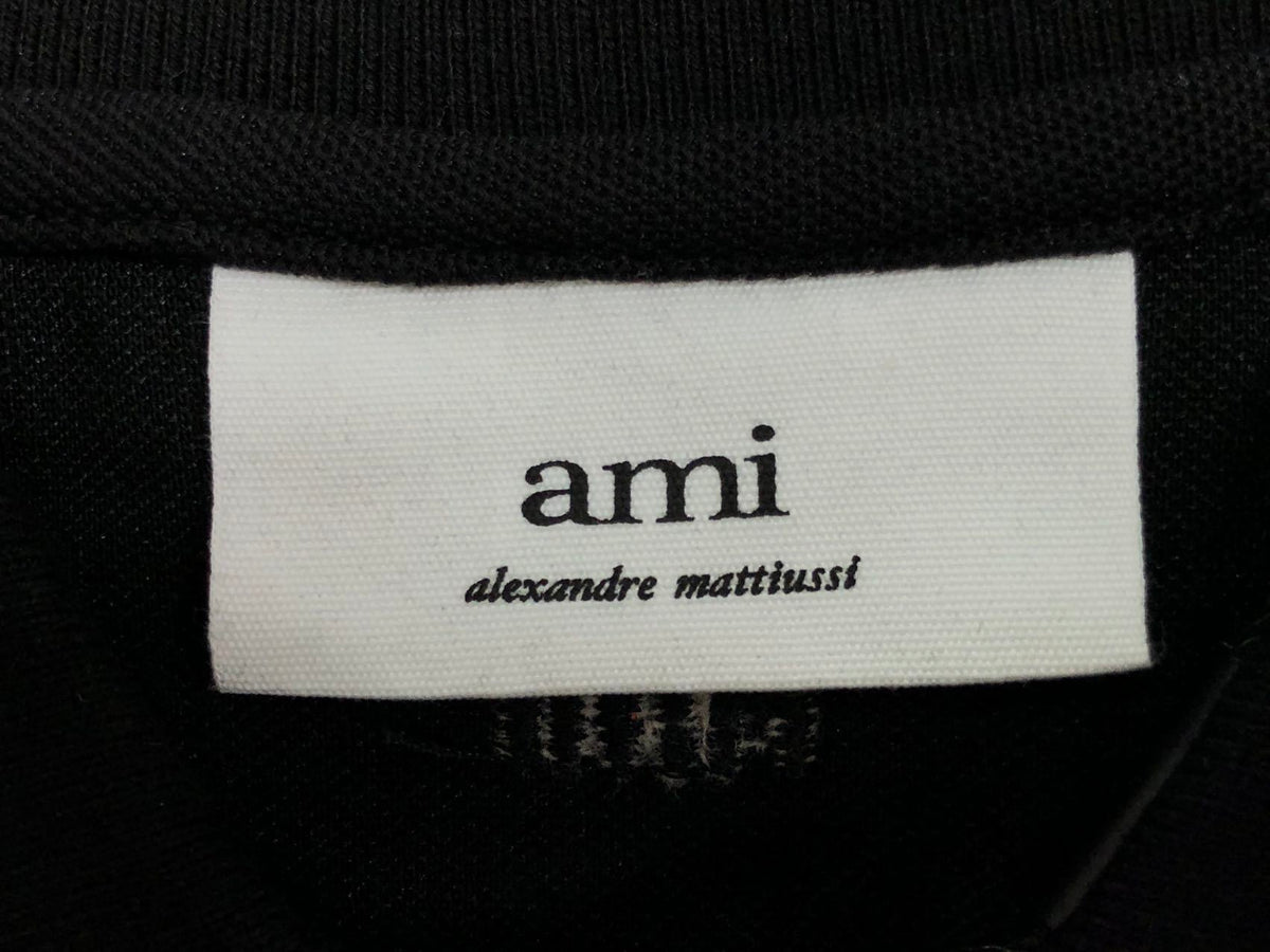 Am1 Polo